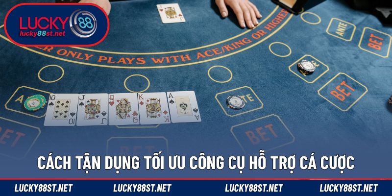 Cách tận dụng tối ưu công cụ hỗ trợ cá cược