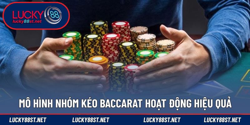 Mô hình nhóm kéo Baccarat hoạt động hiệu quả